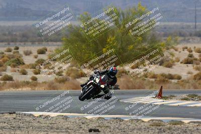 media/Apr-10-2022-SoCal Trackdays (Sun) [[f104b12566]]/Turn 5 Tree of Life (1040am)/